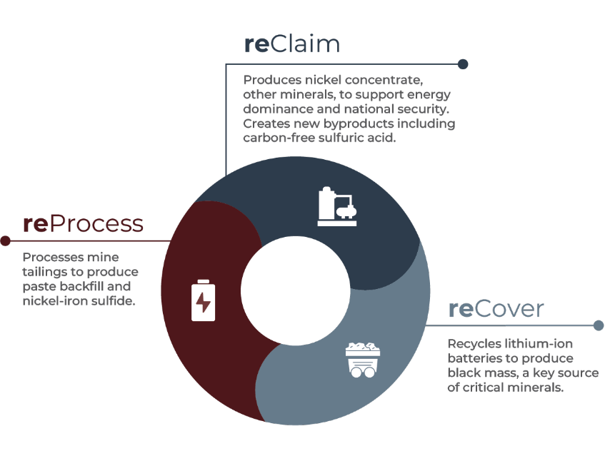 Revex economy diagram